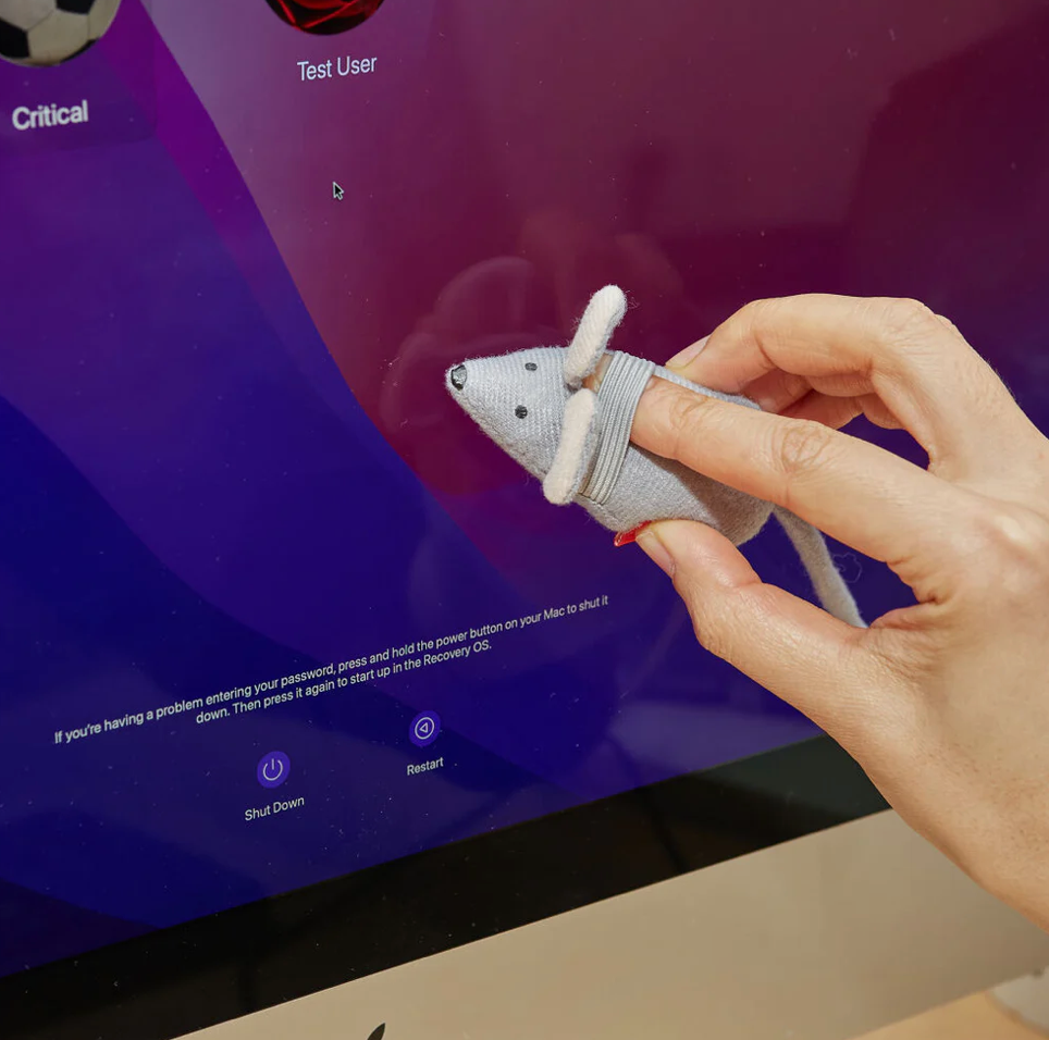 Squeaky Clean Mouse Cleaning Mouse