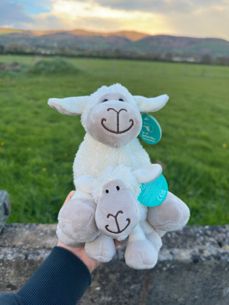 White Sheep Plush