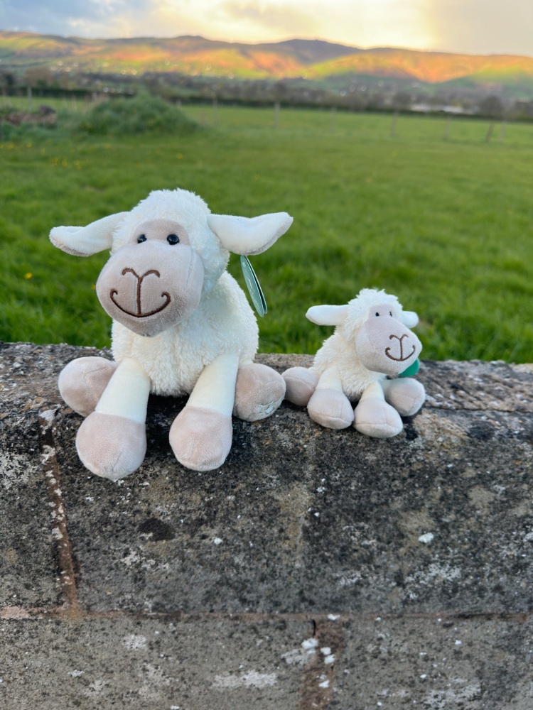 Mini White Sheep Plush