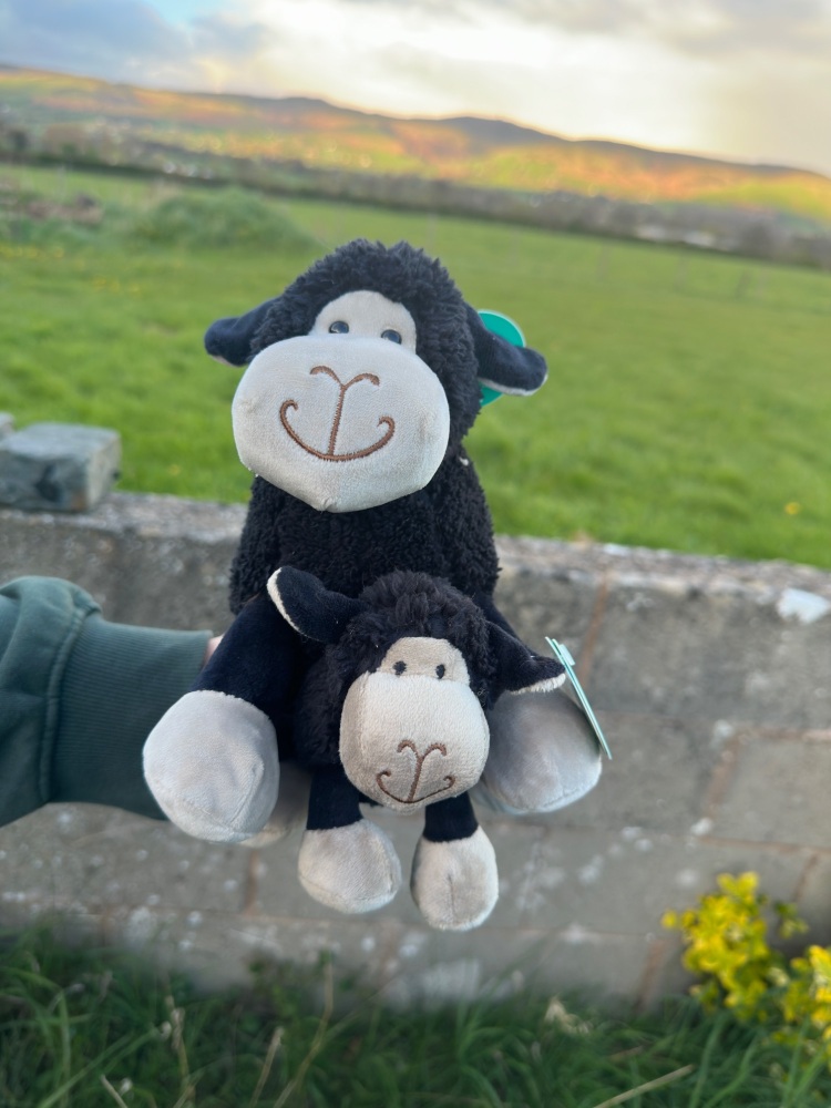 Black Sheep Plush | Jomanda