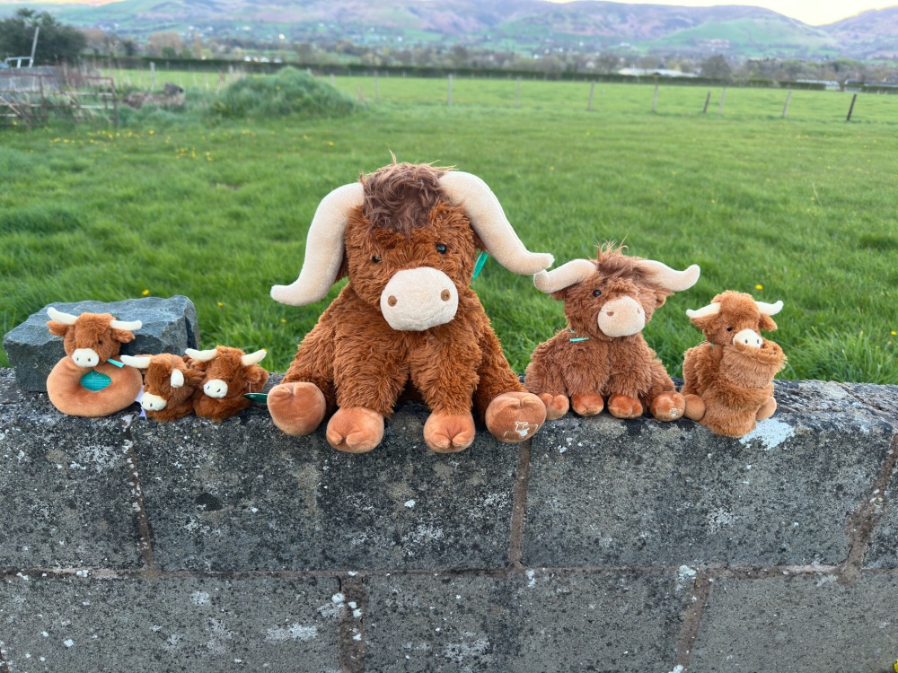 Highland Cow Small Teddy | Jomanda