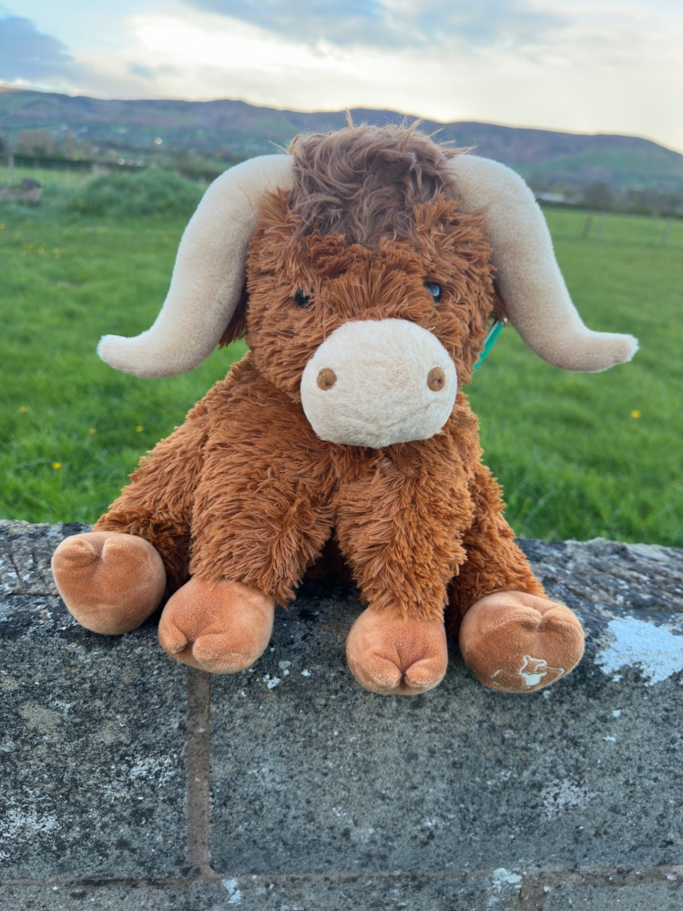 Highland Cow Large Teddy | Jomanda