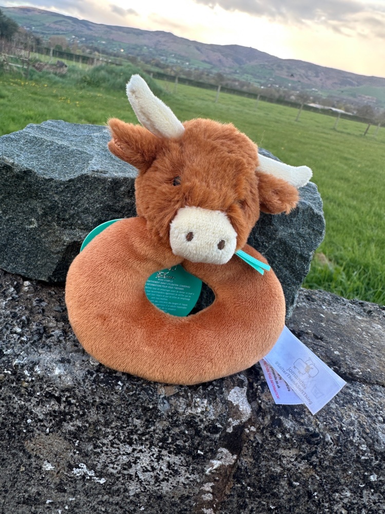 Highland Cow Baby Rattle | Jomanda