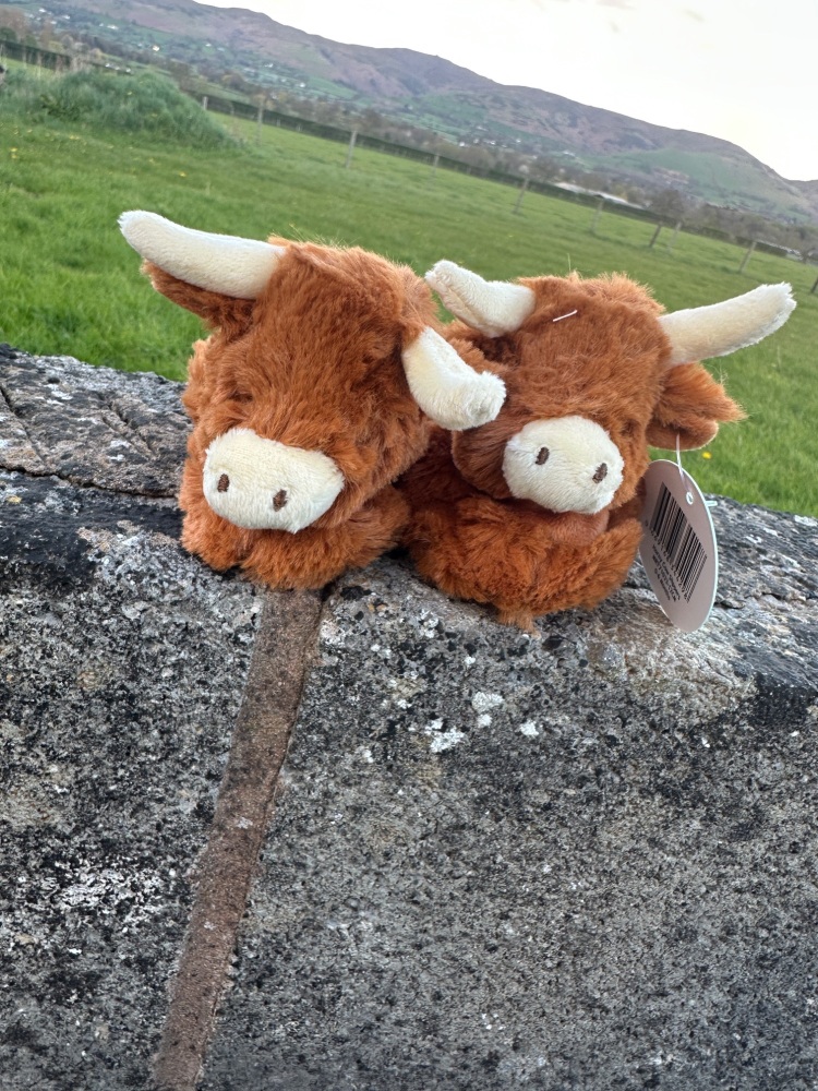 Highland Cow Baby Booties | Plush Cow Baby Slipper Boots | Jomanda