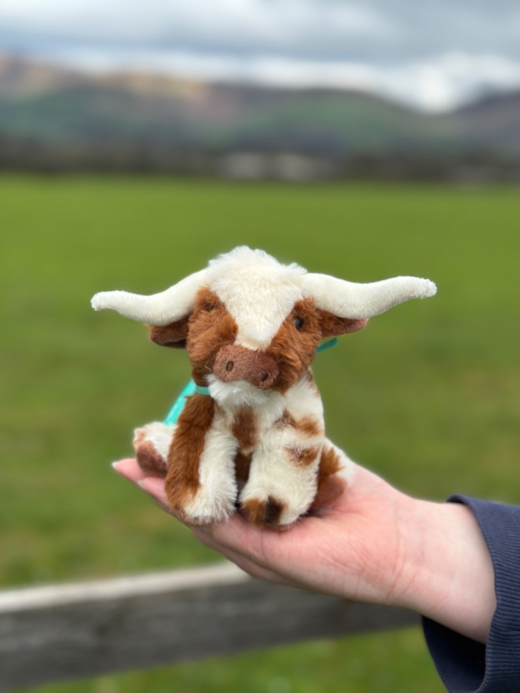 Mini Texas Longhorn Cow Plush | Jomanda