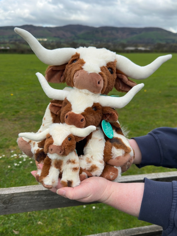 Mini Texas Longhorn Cow Plush | Jomanda