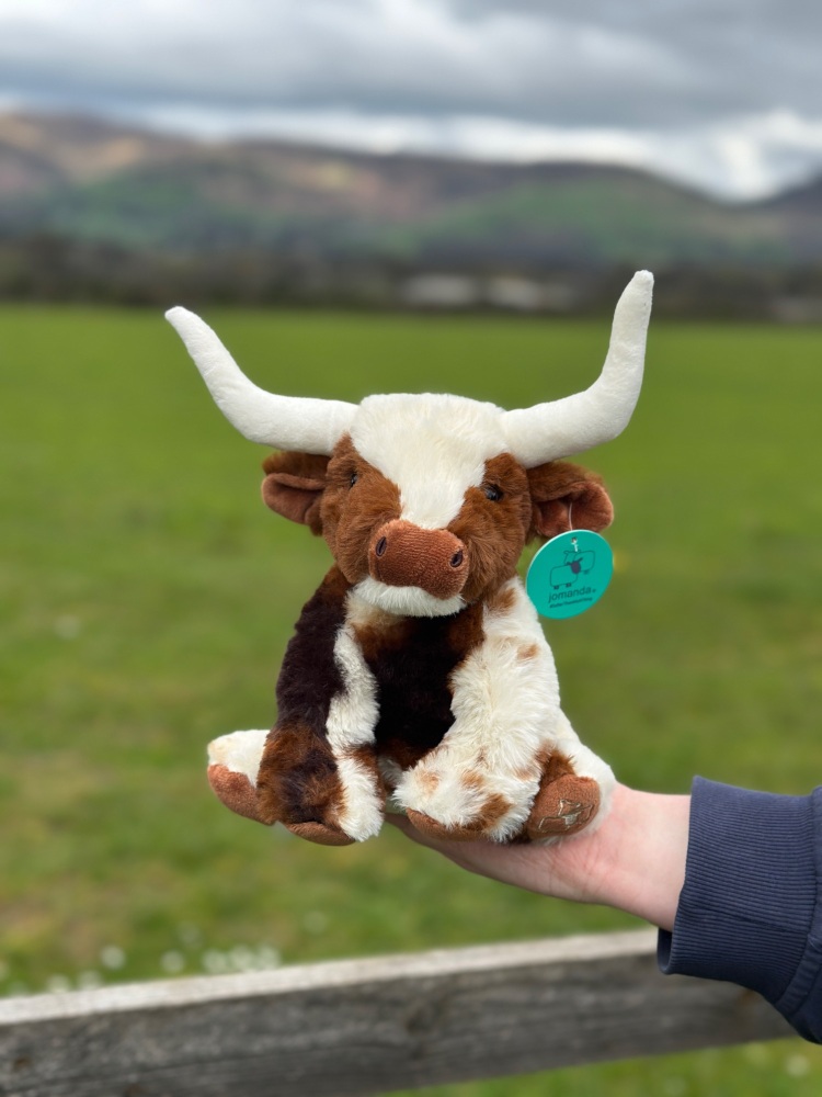 Small Texas Longhorn Cow Plush | Jomanda