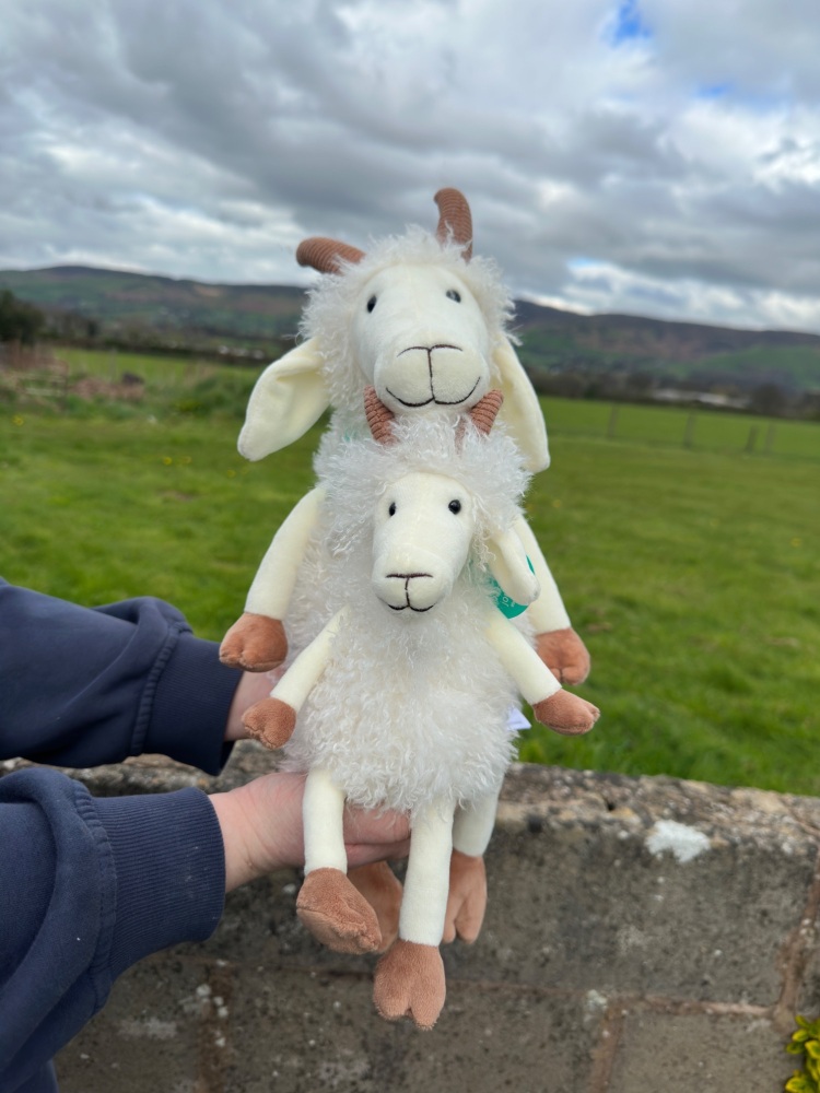 Goat Plush Teddy | Jomanda - Various Size