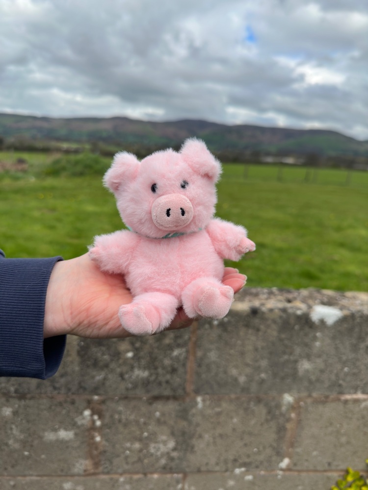 Pink Pig Plush | Jomanda - Various Size