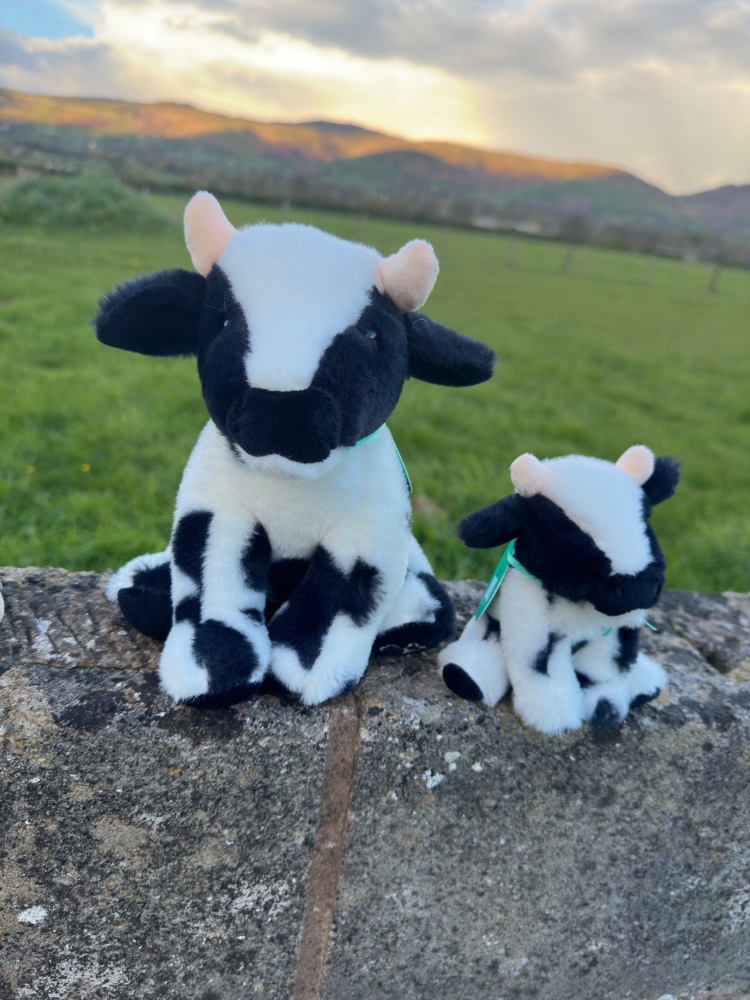 Mini Dairy Cow Plush | Jomanda - Various Size