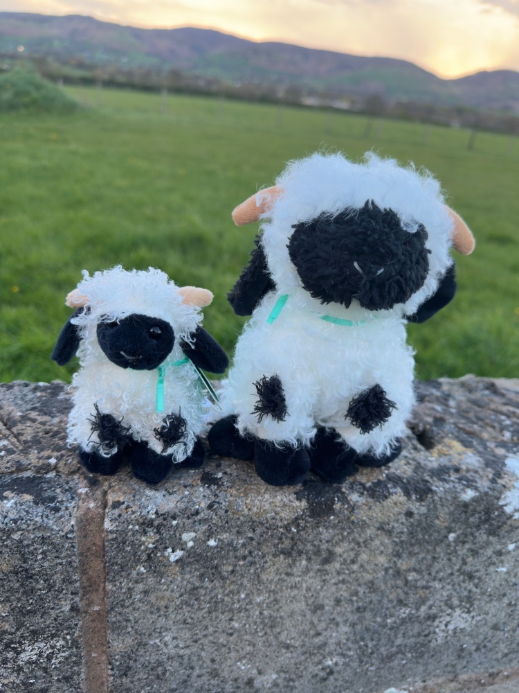 Valais Sheep Plush | Jomanda - Various Size