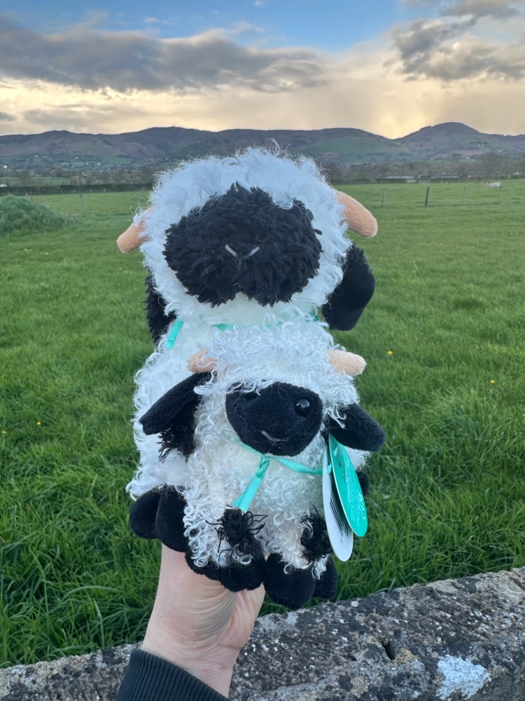 Valais Sheep Plush | Jomanda - Various Size