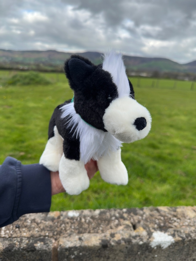 Sheep Dog Collie Plush | Jomanda