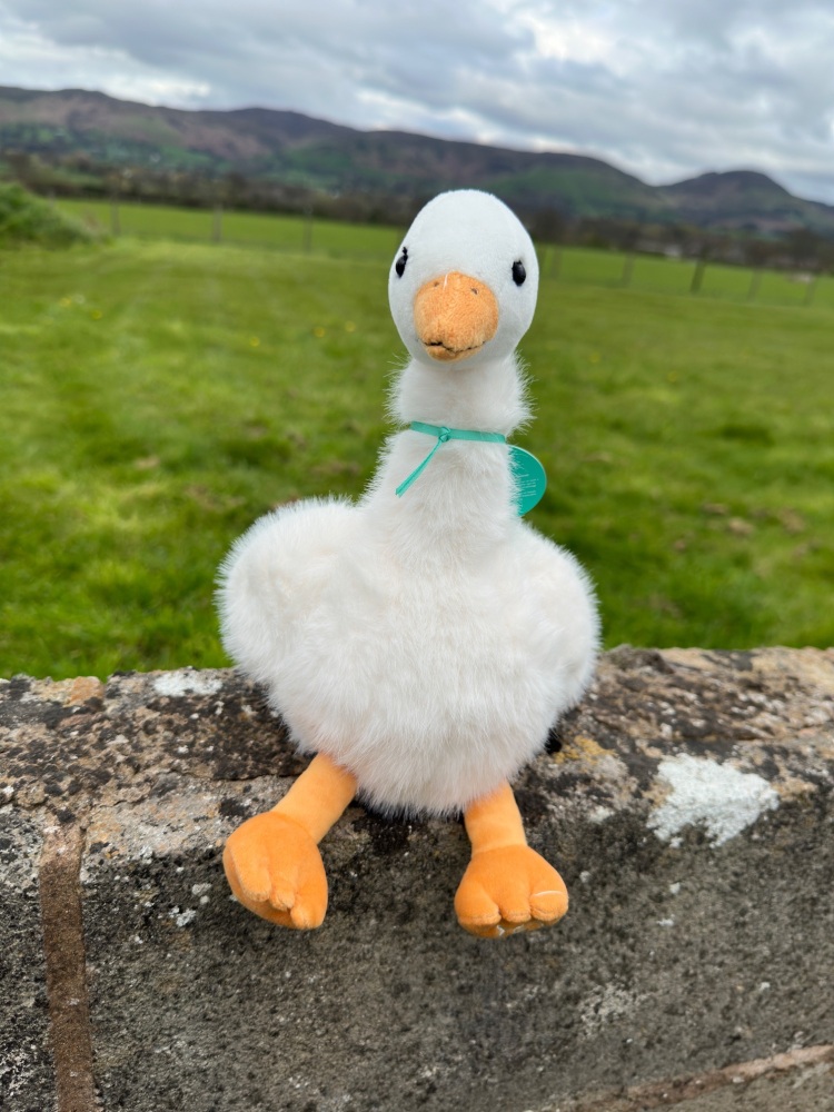 Goose Plush Teddy | Jomanda