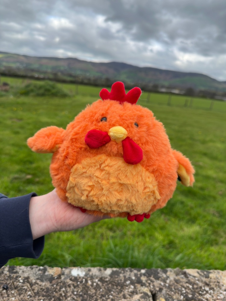 Hen Rooster Plush Teddy | Jomanda