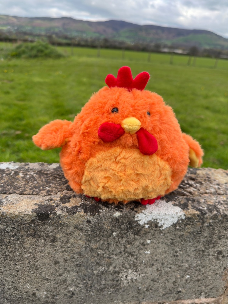 Hen Rooster Plush Teddy | Jomanda