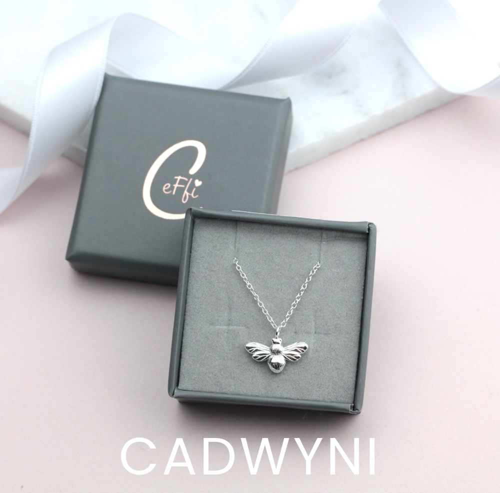 Cadwyni