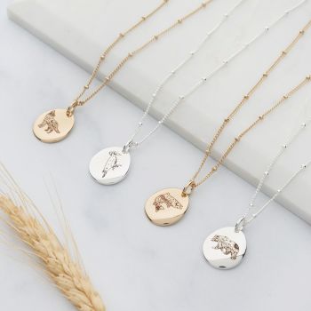Native American Animal Zodiac Necklaces (PN077)