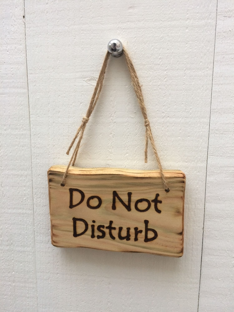 Do Not Disturb - 15cm x 10cm