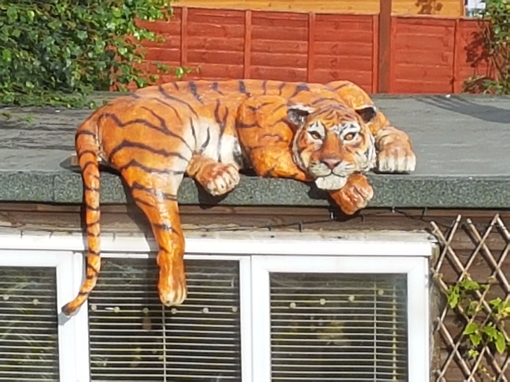 Tiger chickenwire