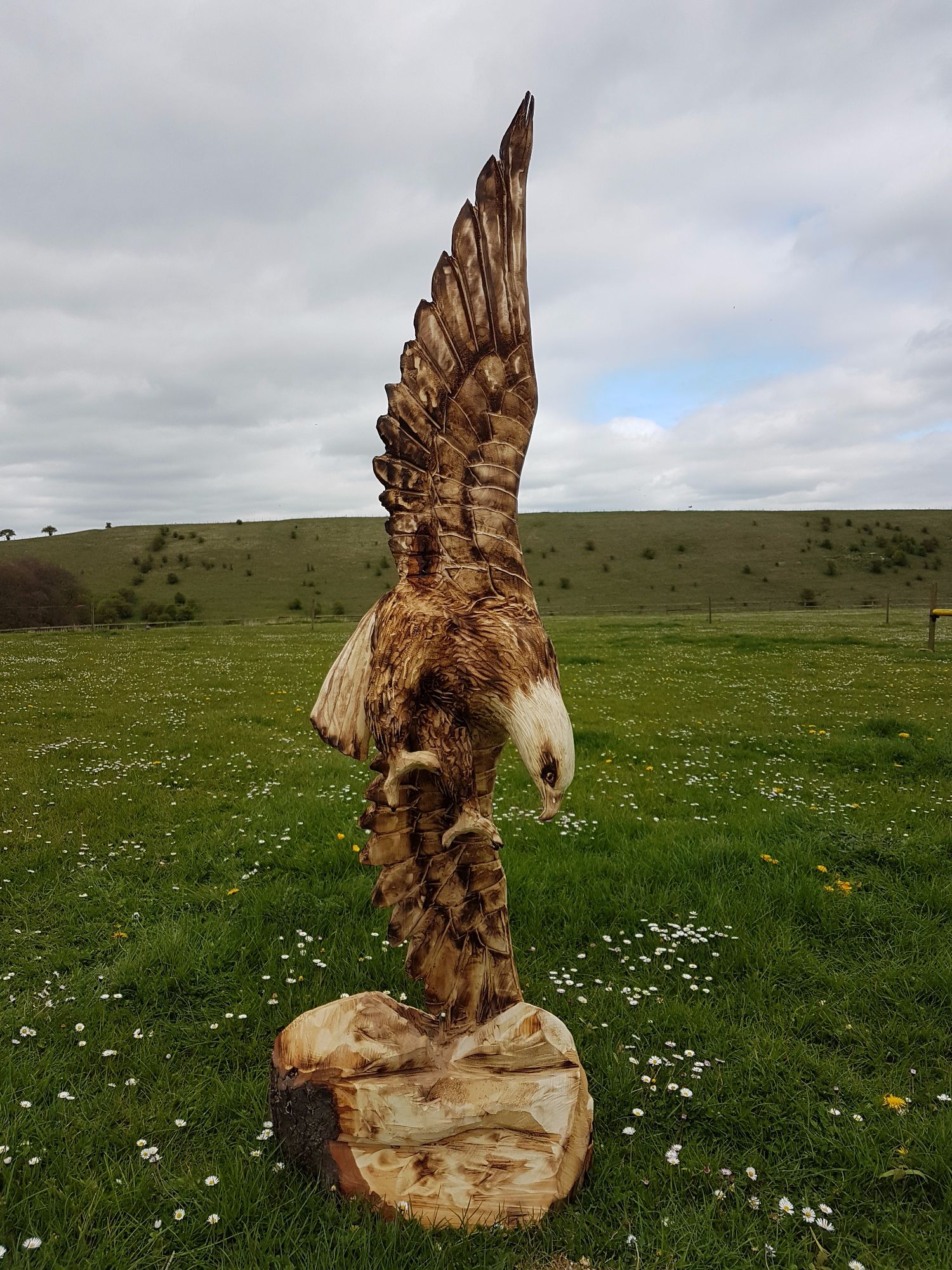 Eagle chainsaw finished