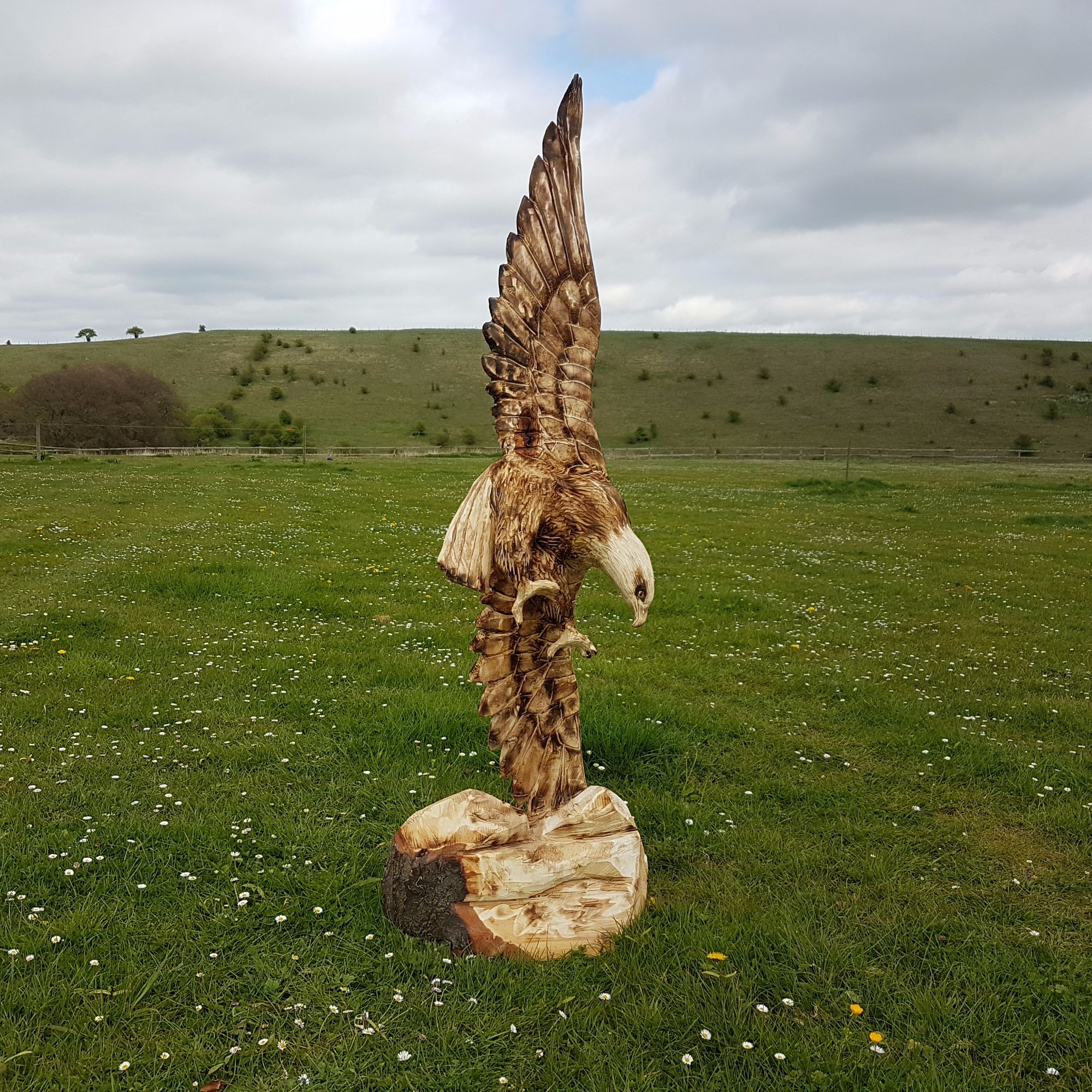 Eagle Chainsaw sculpture