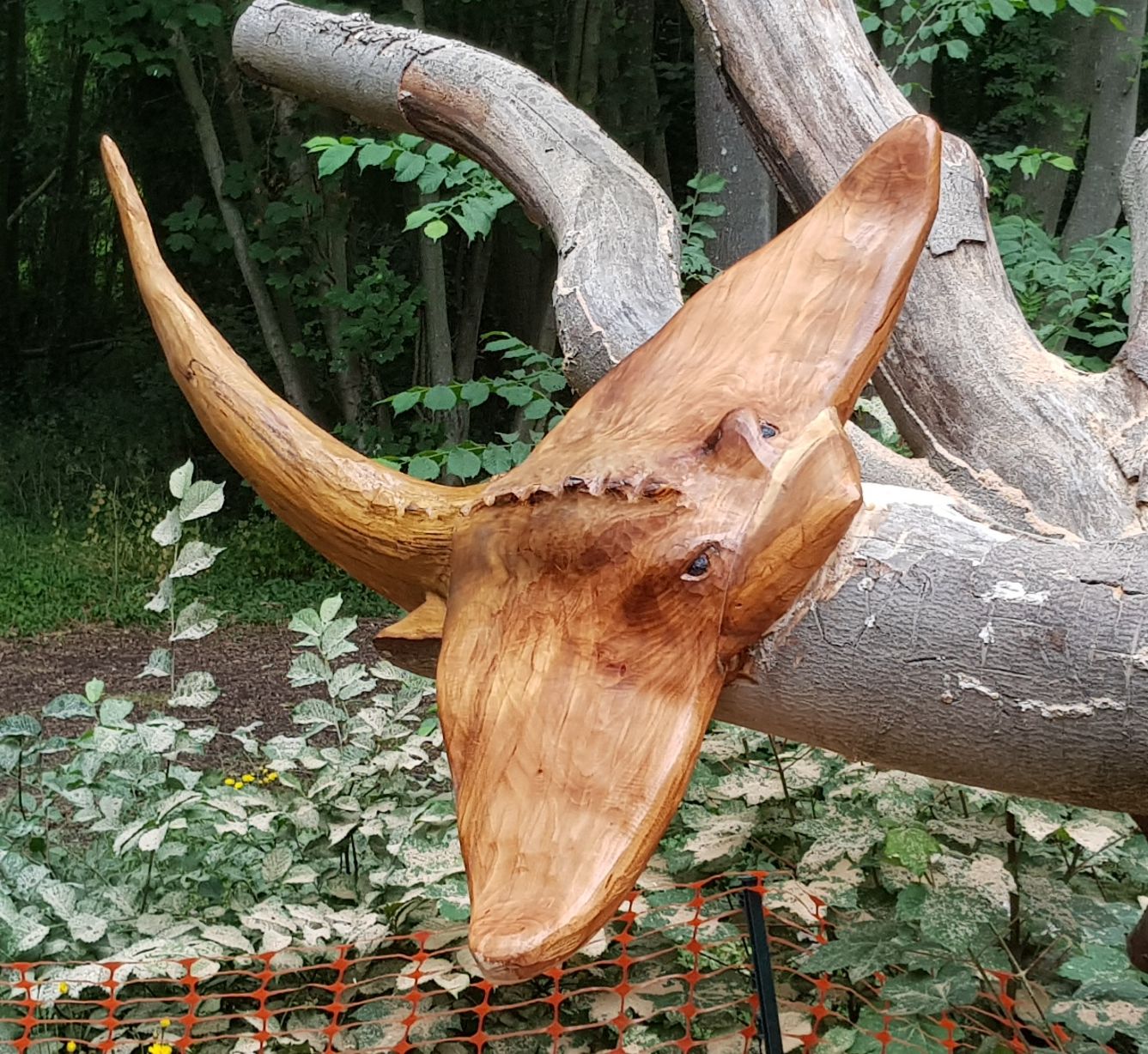 Chainsaw Stingray, Manta ray