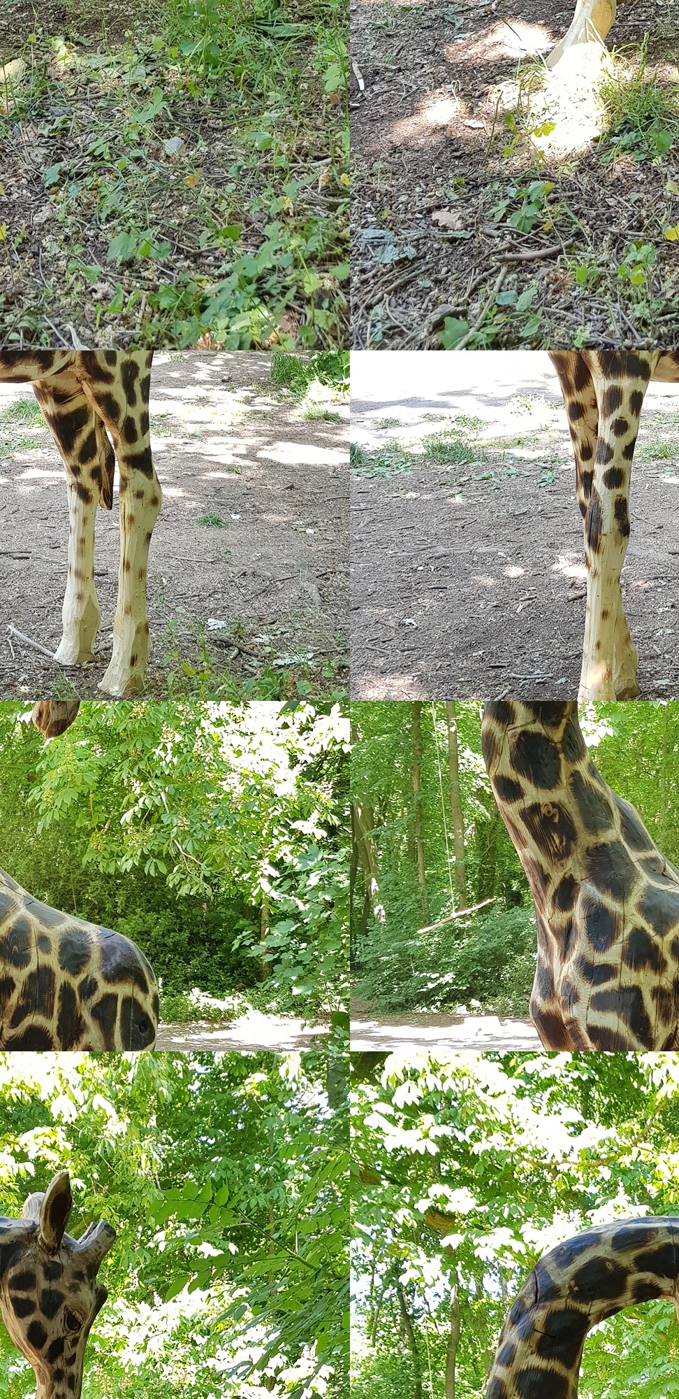 Laminated giraffe (119)