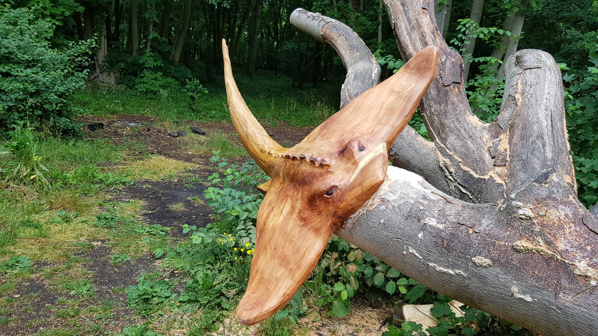 Stingray Chainsaw (19).jpg