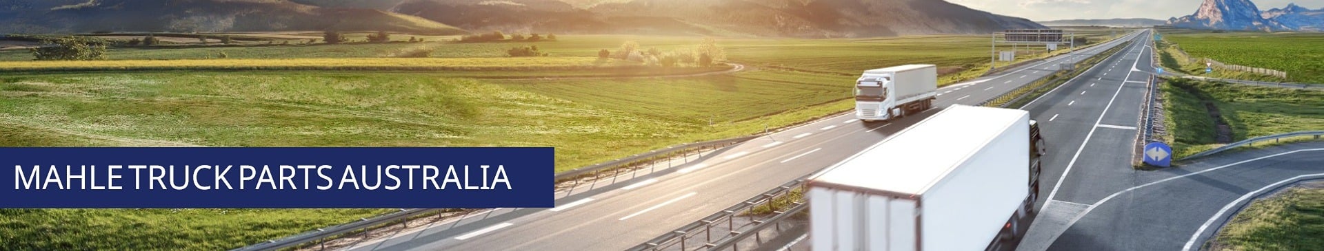 Mahle Truck Engine Parts Australia