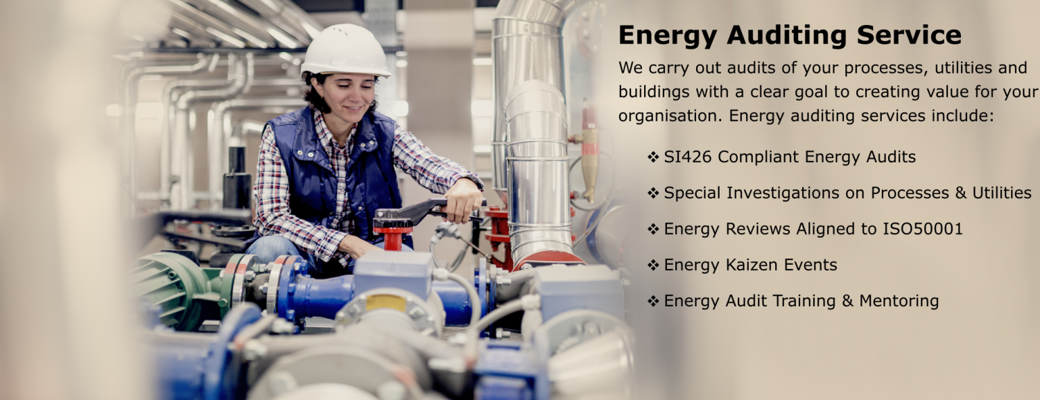 Energy Audit banner