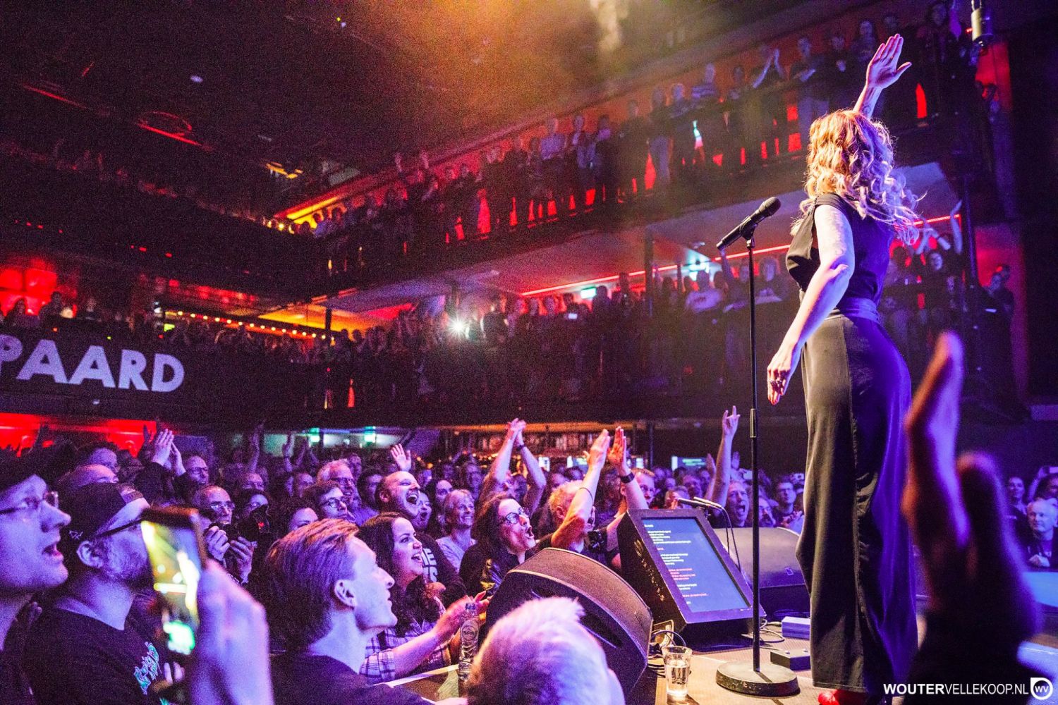 Singers Lyric Prompter Teleprompter Stageprompter