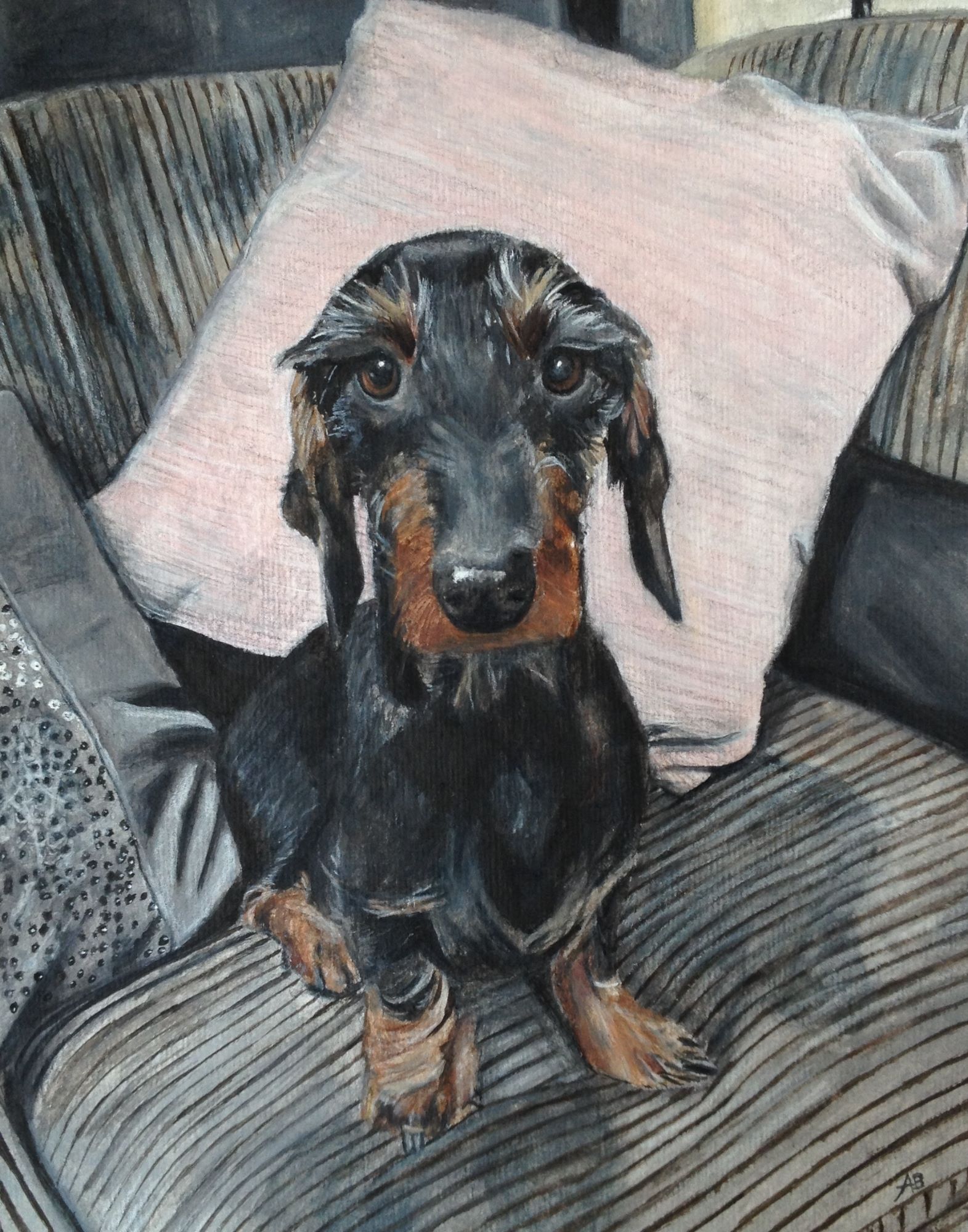 Ross the Daschund 