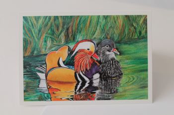 Mandarin Ducks Greeting Card 