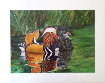 'Mandarin Ducks' Giclée Fine Art Print