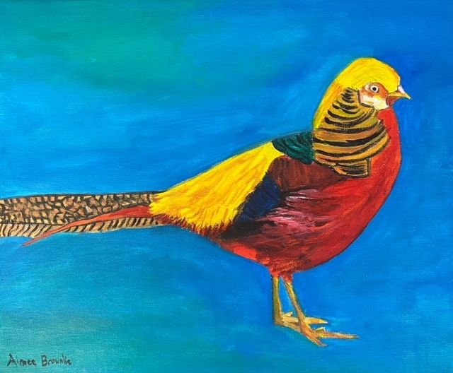 Golden Pheasant