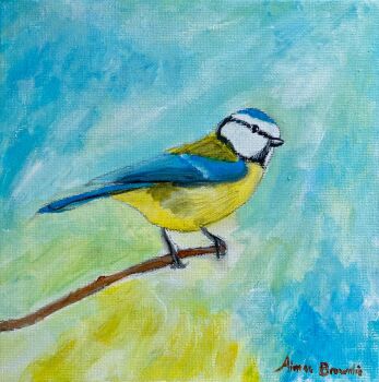 Creation Sings