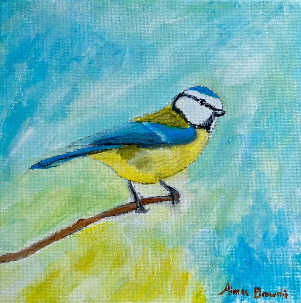 Creation Sings
