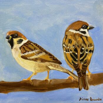His Eye is on the Sparrow