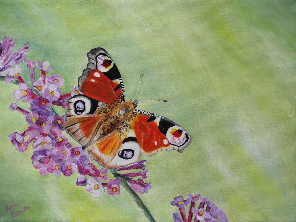 <!-- 001 -->Original Paintings