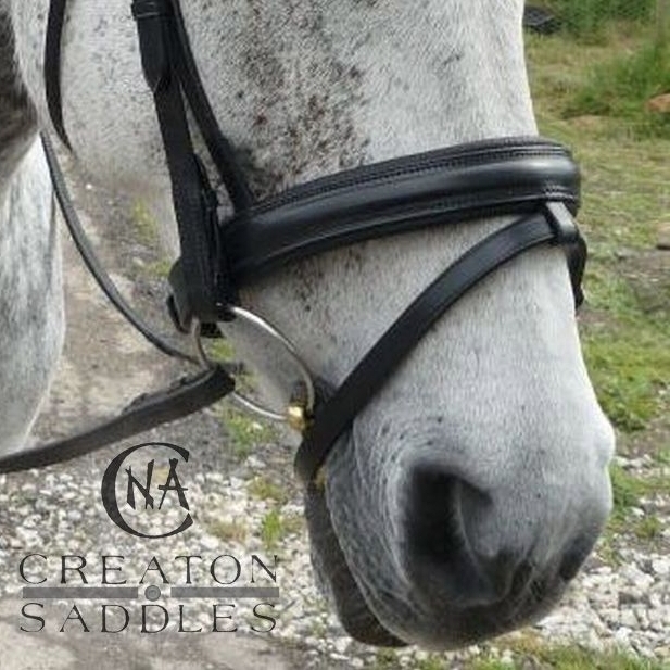 bridle-with-flash-noseband