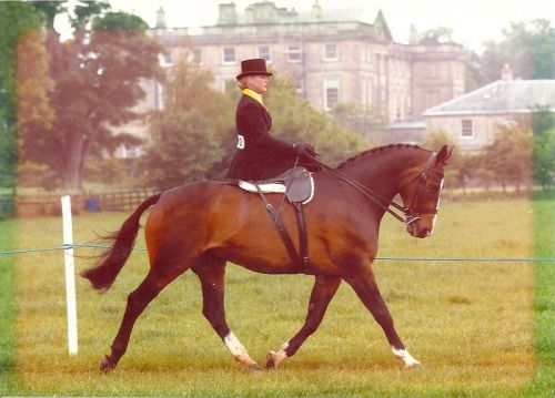 Clients | Trained By | Nick Creaton