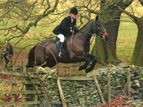 Clients | Trained By | Nick Creaton