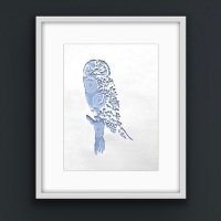 Owl - grey and white