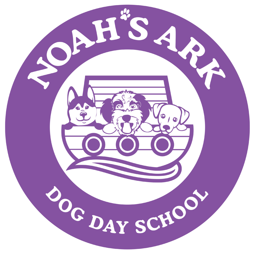 Welcome to Noahs Ark Day School