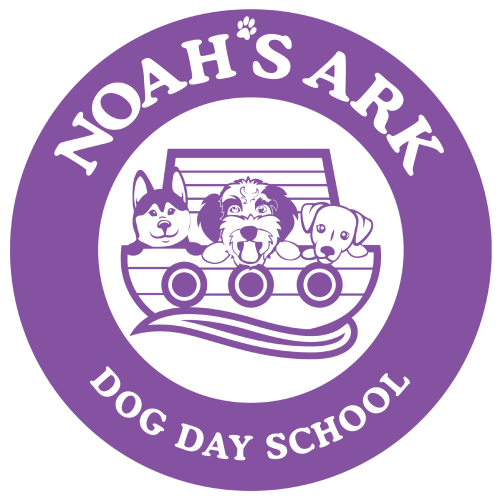Welcome to Noahs Ark Day School