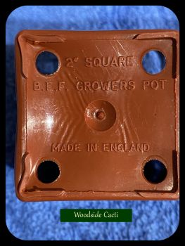 BEF Square Terracota 2 inch Pots x 20