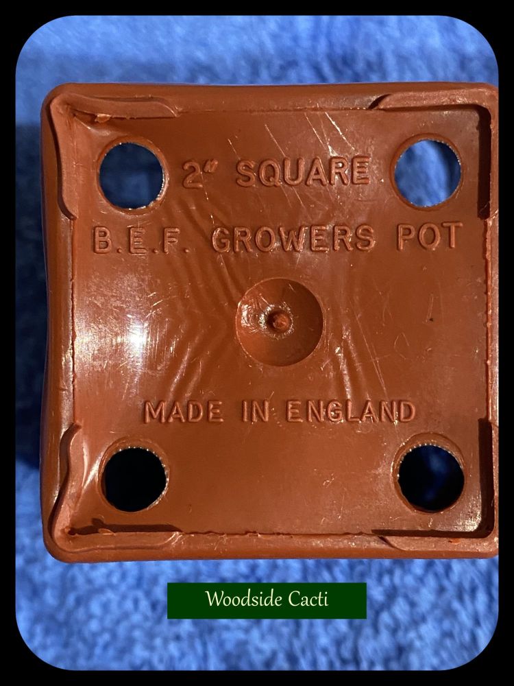 BEF Square Terracota 2 inch Pots