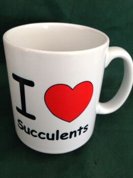 I Love Succulents Ceramic Mug