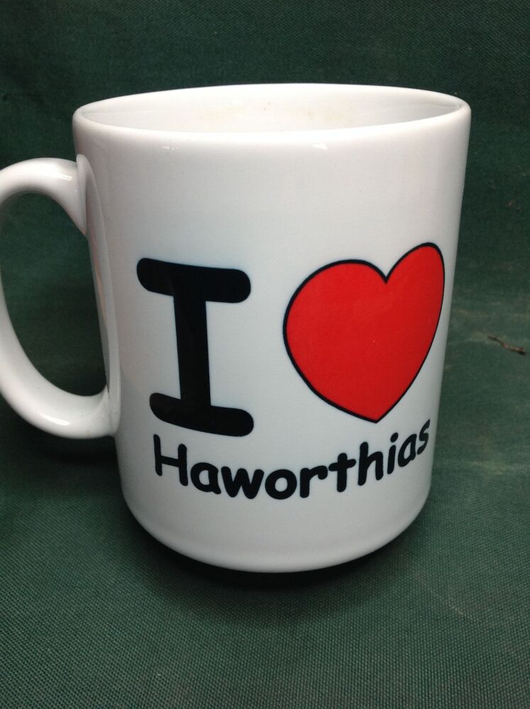 I Love Haworthias Ceramic Mug